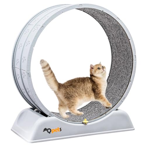 Qpets Cat Exercise Wheel Silent Rotating Car Exercise Wheel with Removable Cat Scratcher Track DIY Assembly Car Exercise Wheel with Anti-Slip Base & Safety Connection Latch Cat Treadmill Cat Toy Qpets Cat Exercise Wheel Silent Rotating Car Exercise Wheel with Removable Cat Scratcher Track DIY Assembly Car Exercise Wheel with Anti-Slip Base & Safety Connection Latch Cat Treadmill Cat Toy